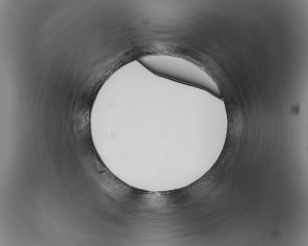 X0000111170425200908121051