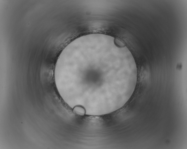 X0000111170427200908121051