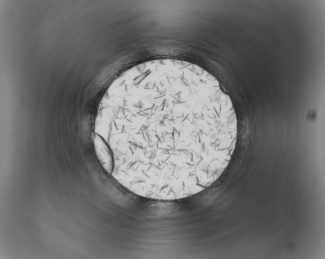 X0000111170428200908121051