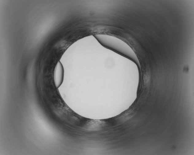 X0000111170429200908121051