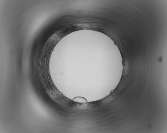 X0000111170430200908121051