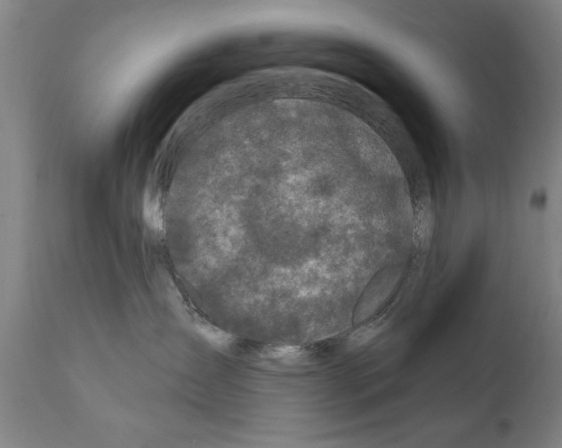 X0000111170431200908121051