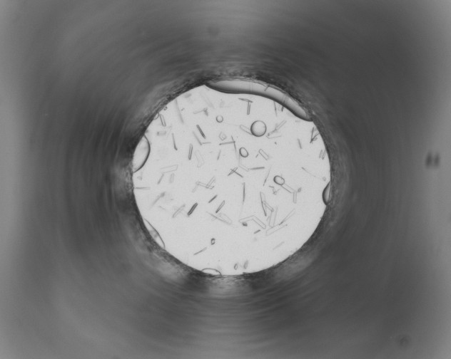 X0000111170432200908121051