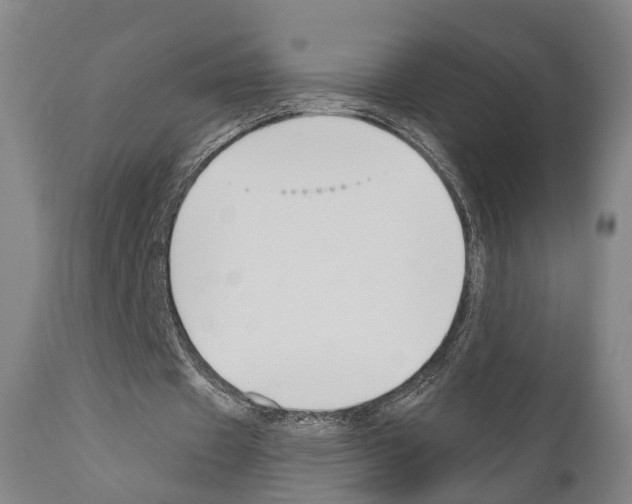 X0000111170433200908121050