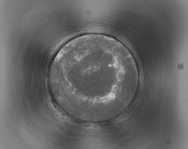 X0000111170434200908121050