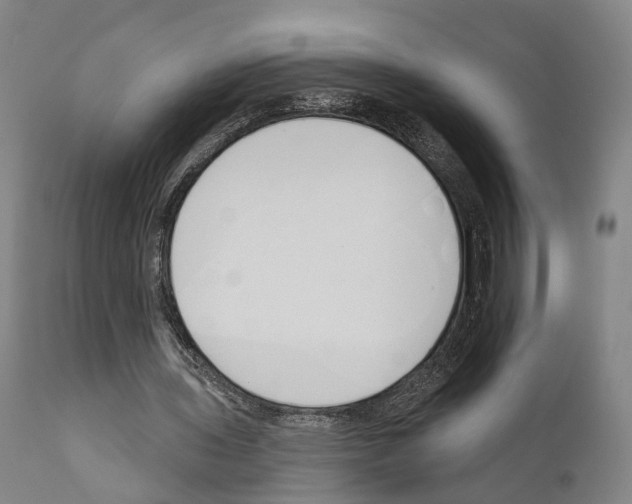 X0000111170435200908121050