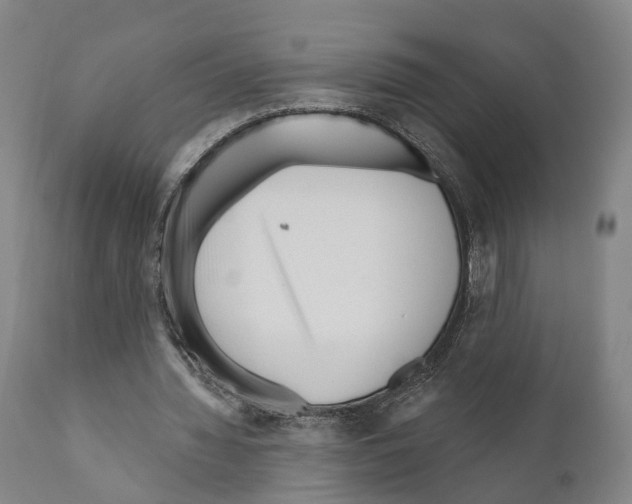 X0000111170436200908121050