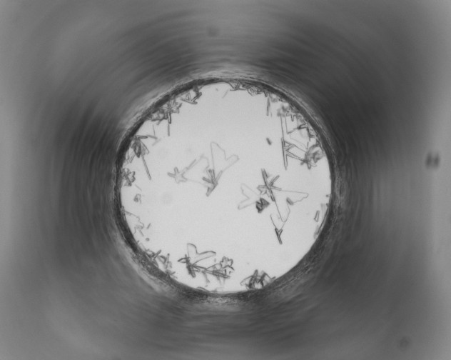 X0000111170437200908121050