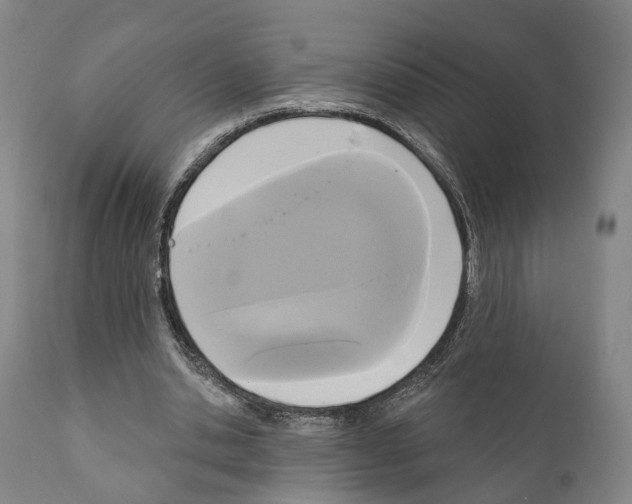 X0000111170438200908121050