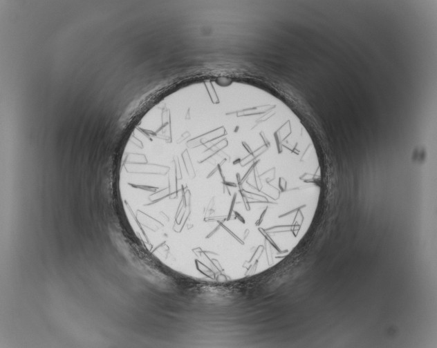 X0000111170442200908121050