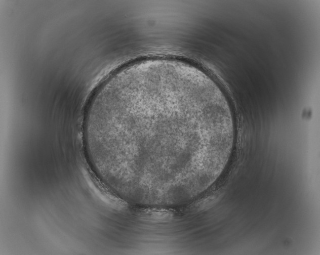 X0000111170443200908121050