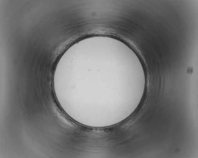 X0000111170445200908121050