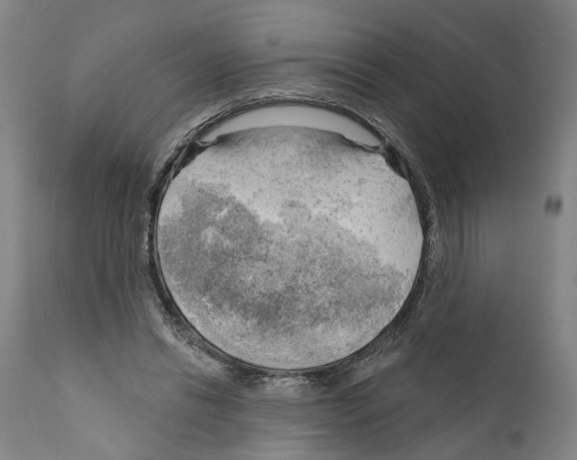 X0000111170446200908121050