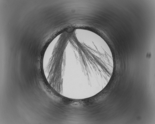 X0000111170447200908121050