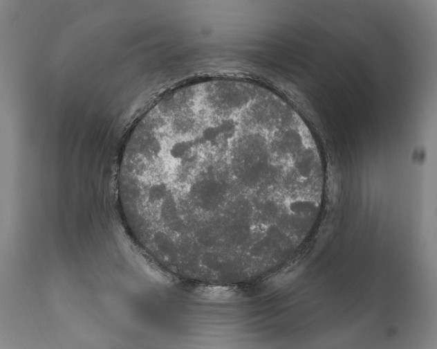 X0000111170449200908121050