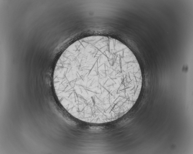 X0000111170450200908121050