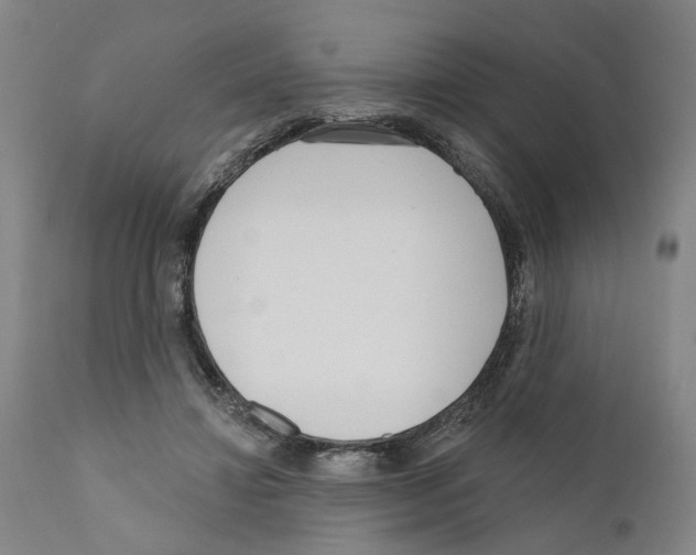 X0000111170452200908121050