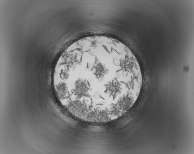 X0000111170454200908121050