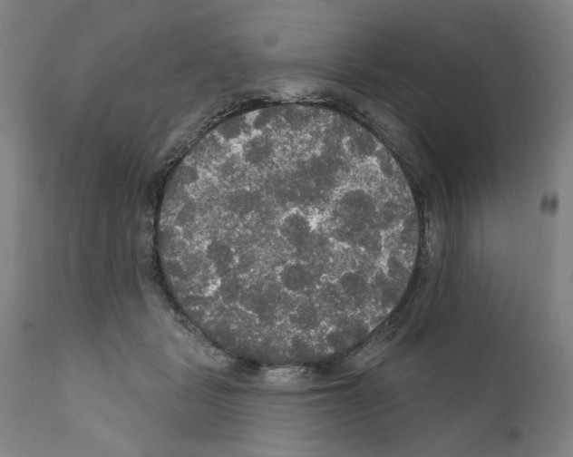 X0000111170461200908121051