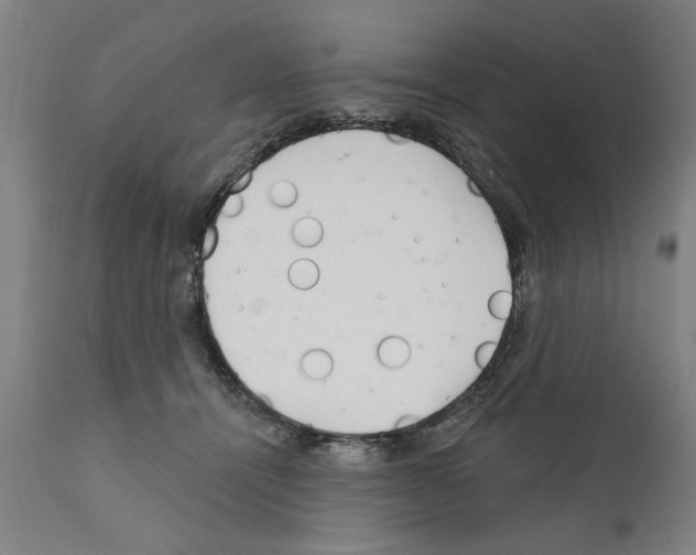 X0000111170464200908121051