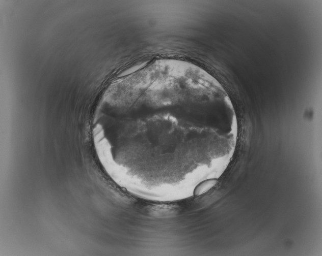 X0000111170465200908121051