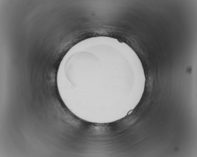 X0000111170466200908121051