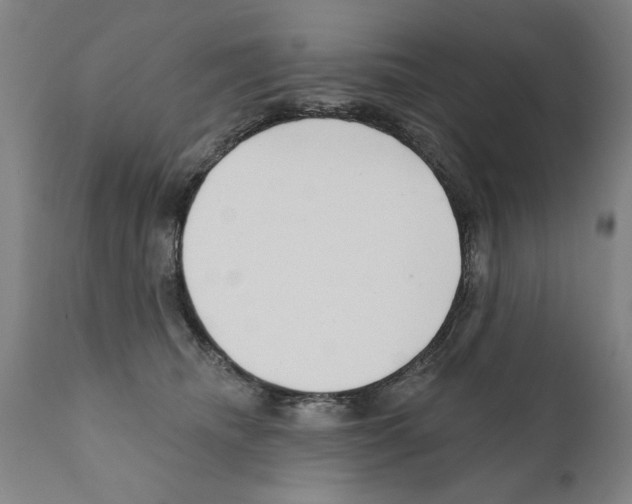 X0000111170468200908121051