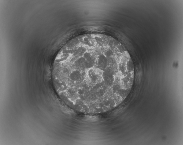 X0000111170469200908121051