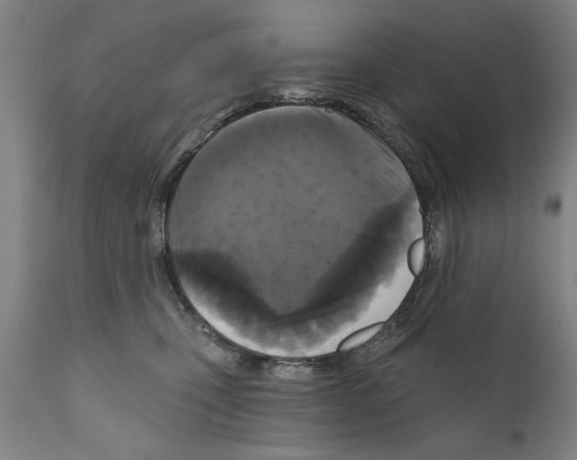 X0000111170471200908121051