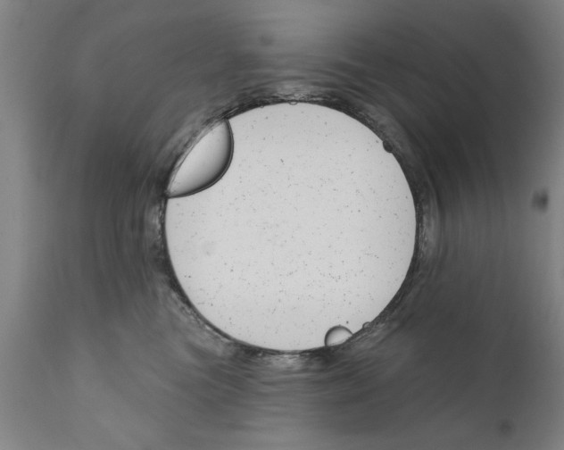 X0000111170473200908121051