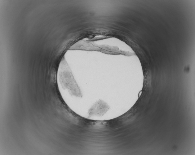 X0000111170474200908121051