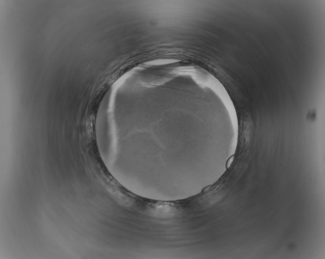 X0000111170475200908121051