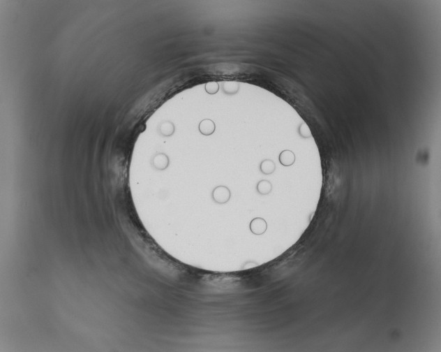 X0000111170476200908121051