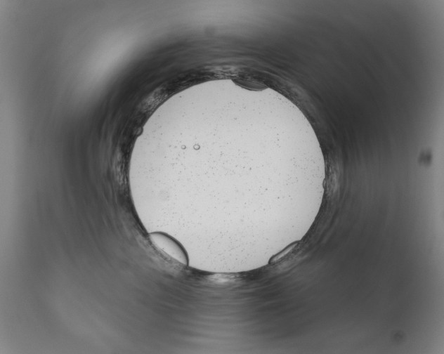 X0000111170477200908121051