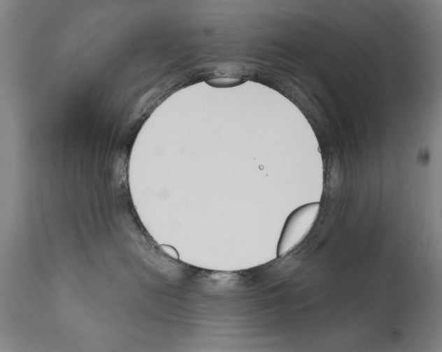 X0000111170478200908121051