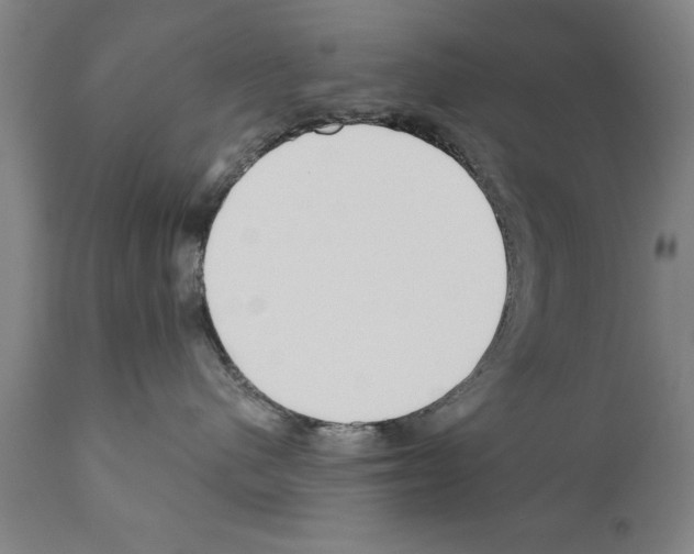 X0000111170480200908121051