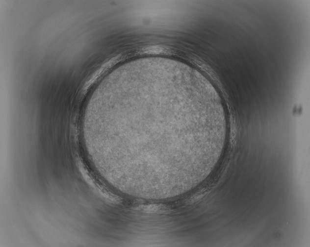 X0000111170482200908121050