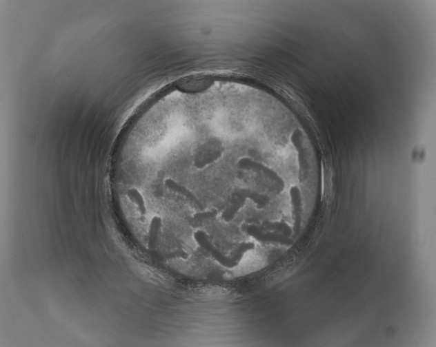 X0000111170483200908121050