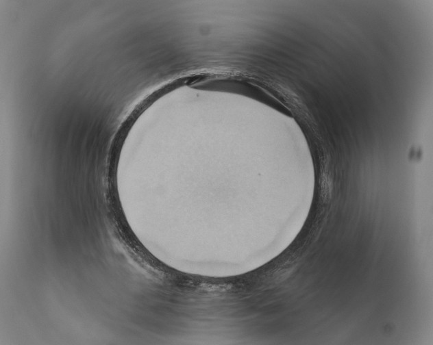 X0000111170484200908121050