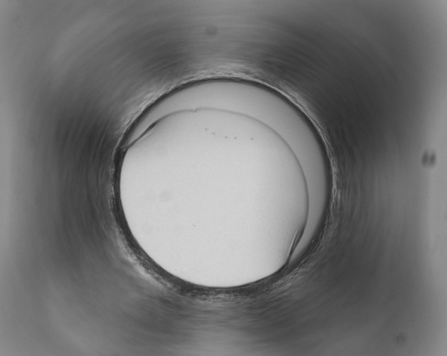 X0000111170485200908121050