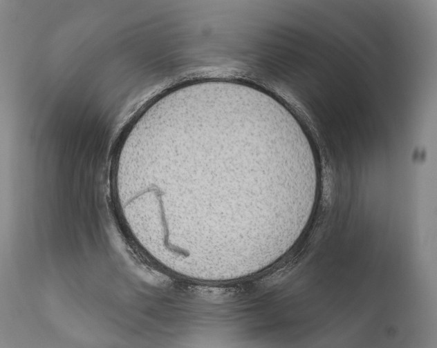 X0000111170486200908121050