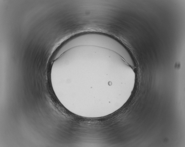 X0000111170488200908121050