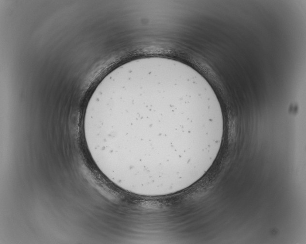 X0000111170490200908121050