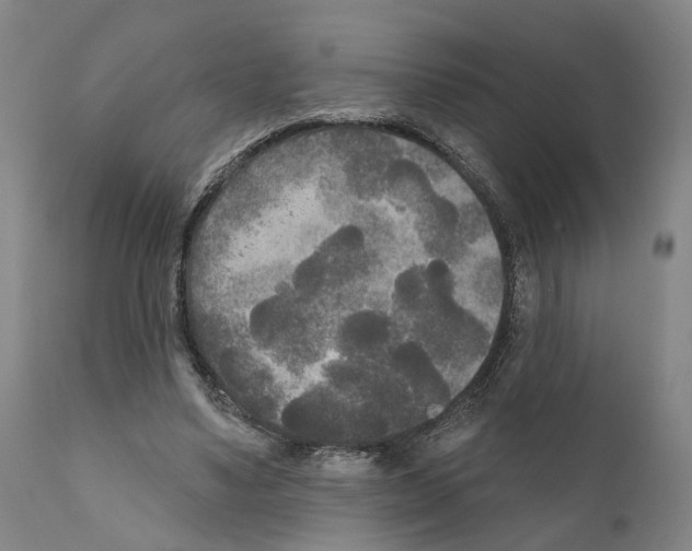 X0000111170491200908121050