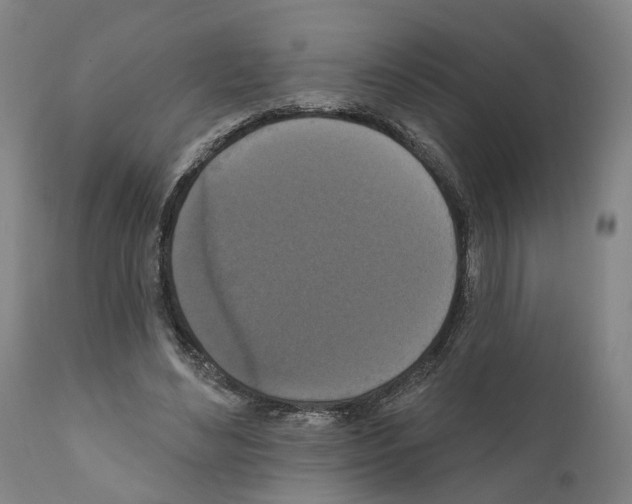 X0000111170492200908121050