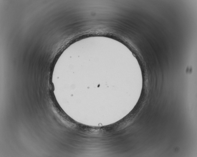 X0000111170493200908121050