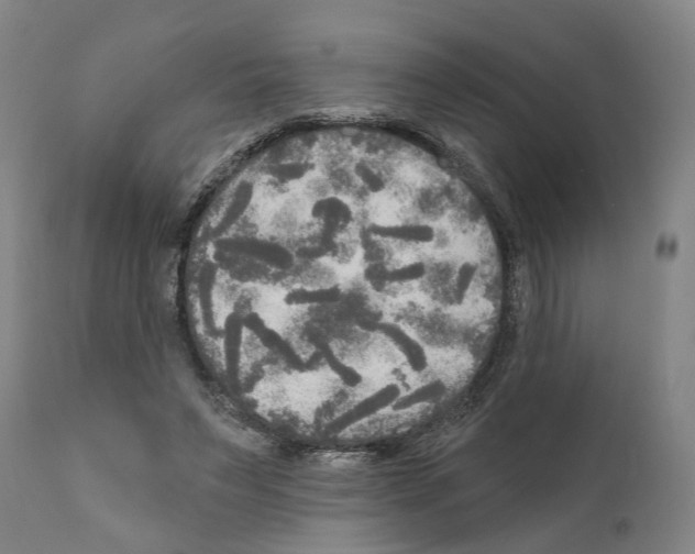 X0000111170495200908121050