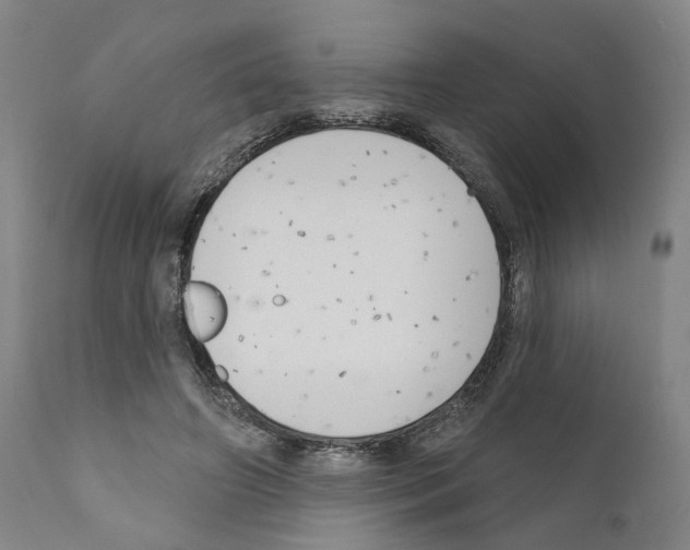 X0000111170498200908121050