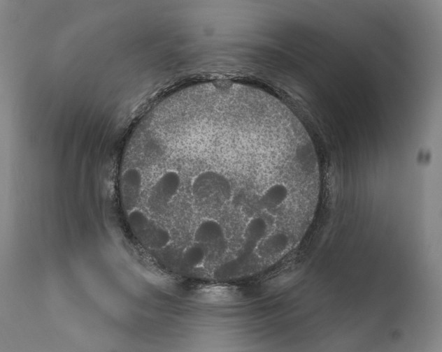 X0000111170499200908121050