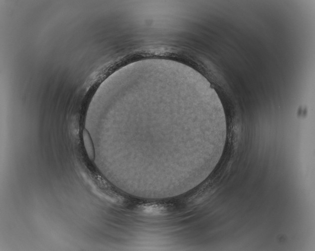 X0000111170500200908121050